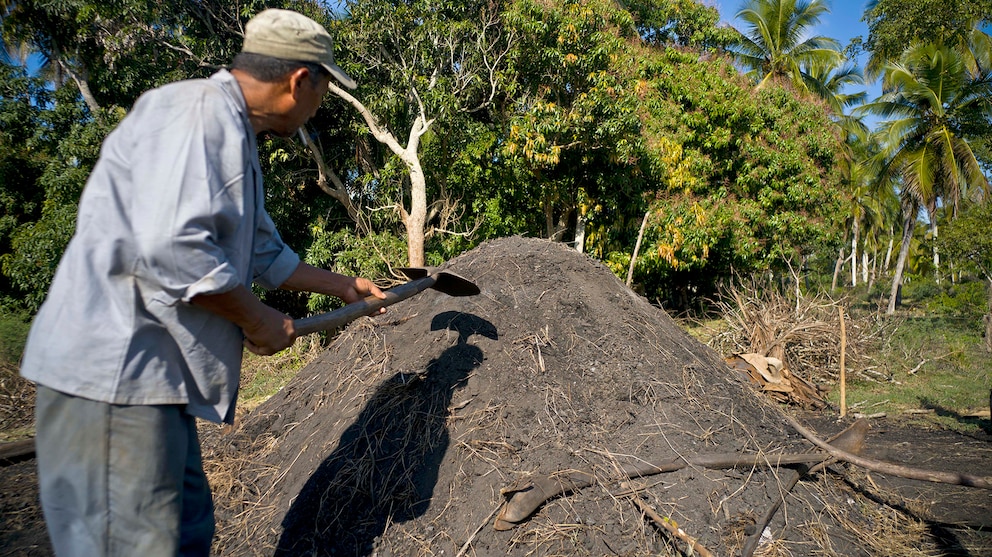 G5JHMTJSXZBDLO2NRWUD4IA33E